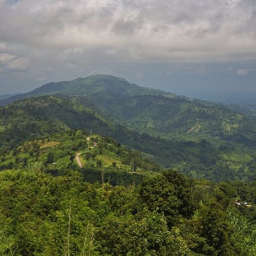 Nilgiri Hills scenic drive from Bangalore to Ooty